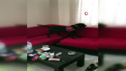 Uyuşturucu tacirleri ‘Limit’ten kaçamadı