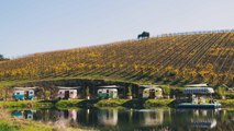 Grab Your Girlfriends and Spend a Weekend Drinking Wine in Vintage Campers at This Scenic Vineyard