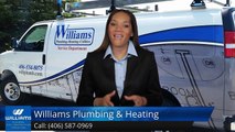 Williams Plumbing & Heating Bozeman Remarkable 5 Star Review by Jeff Hall