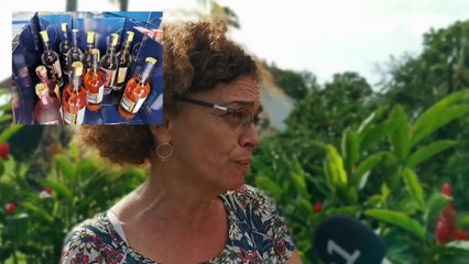 Préparation du Concours Général Agricole 2020 en Guadeloupe