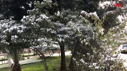 تقرير حديث بغداد حول موجة الثلوج في العراق