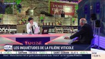 Les inquiétudes de la filière viticole - 11/02