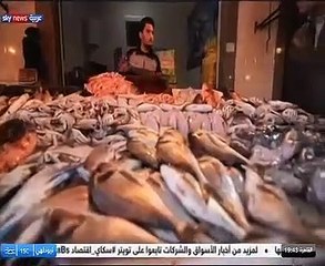 عادل الغضبان بورسعيد تتحول الآن إلى مدينة حرة صناعية