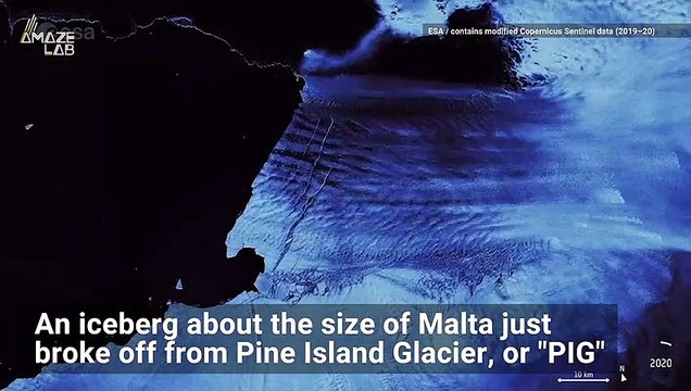 Massive Iceberg Breaks Off Antarctic Glacier, Spawning 'Piglets'