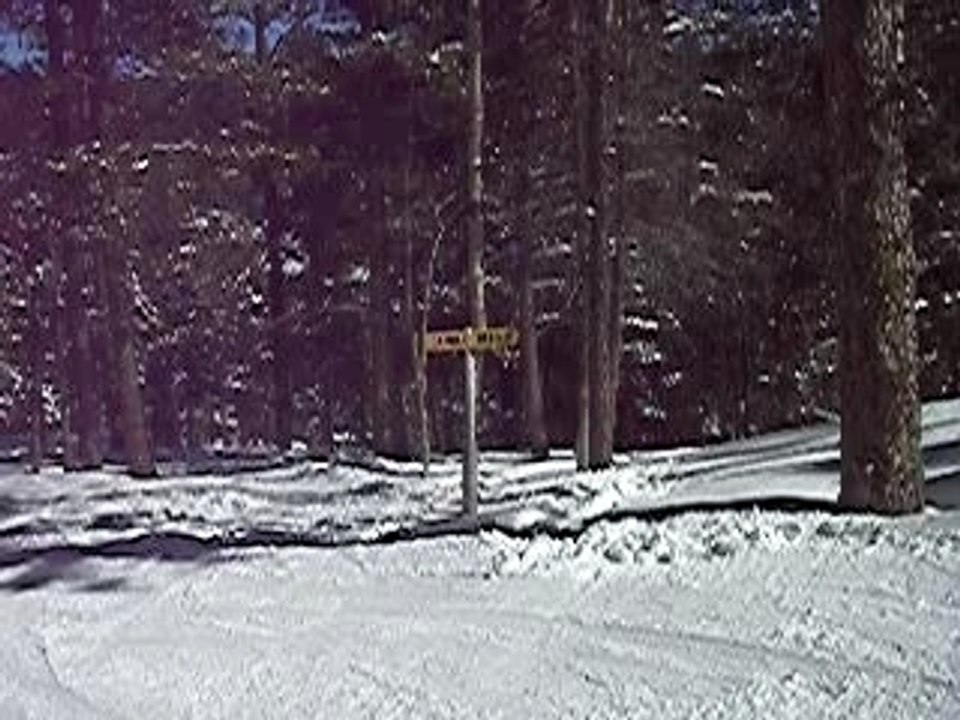 IMGP0279