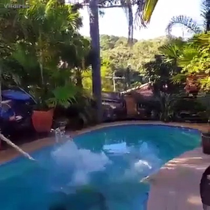 funny clip