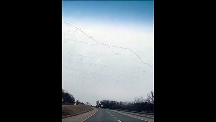 Descargar video: Des oiseaux migrateurs forment un magnifique motif dans le ciel