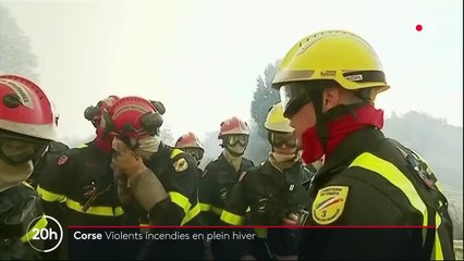 Corse : de violents incendies en plein hiver