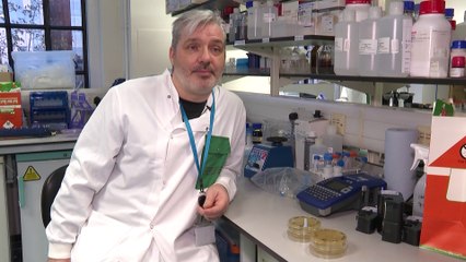 Así buscan la vacuna contra el nuevo coronavirus que se originó en China