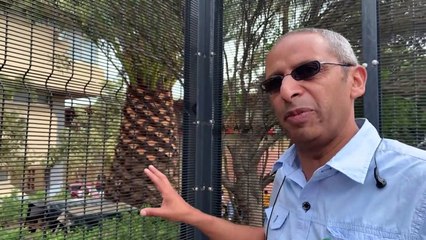 En Sudáfrica, el largo y doloroso regreso de los habitantes expulsados de un barrio