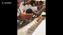 Cocktail king! Bartender does amazing trick to pour 8 multi-colored drinks at once