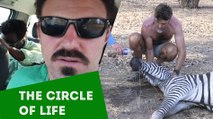 The Circle of Life | Barstool Abroad: Zimbabwe (Chapter 3)