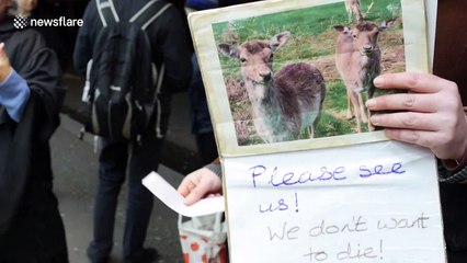 Protesters gather outside theatre show of vegan journalist who shot and ate deer