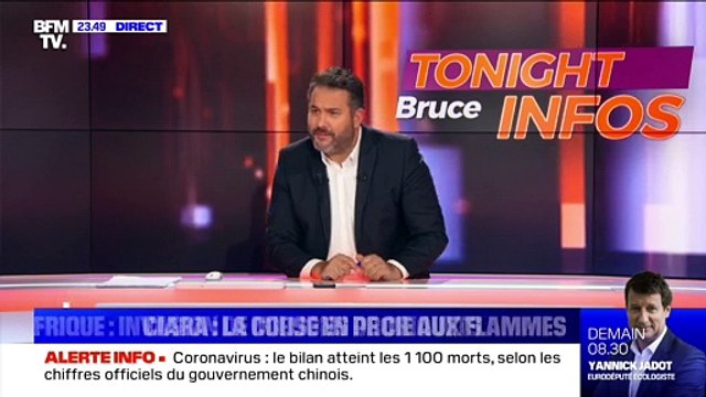 Afrique: invasion de millions de criquets - 11/02