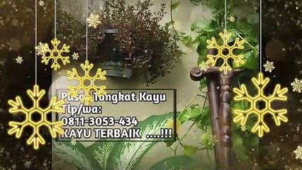 Jual Tongkat Kayu Di Ngawi, WA.0811 3053 434, EKSKLUSIF…!!