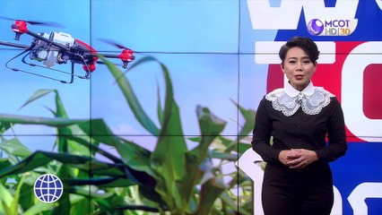 World today 11 ก.พ. 63
