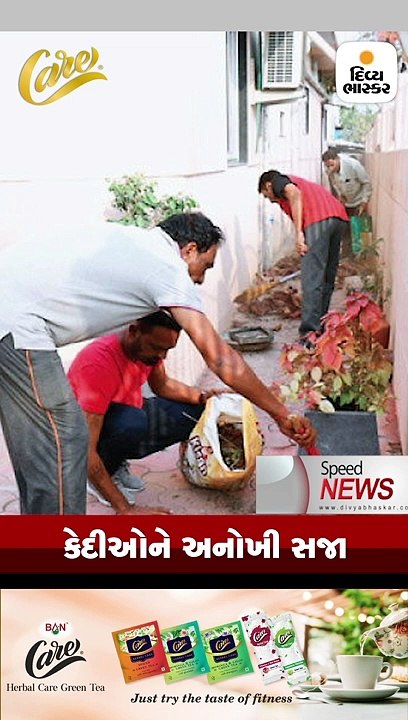 દિલ્હીમાં 3 જી વાર કેજરીવાલ સરકાર , AAP 62 સીટ સાથે મોટી પાર્ટી