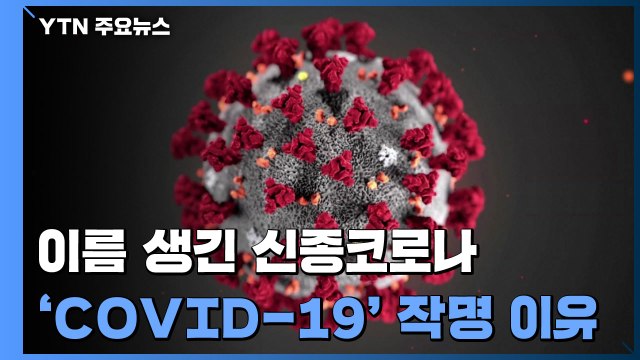 [앵커리포트] 이름 생긴 신종코로나...'COVID-19' 작명 기준은? / YTN