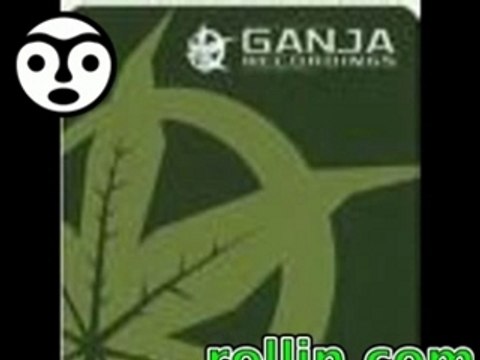 dj hype - we must unite ( ganja records 1996 )