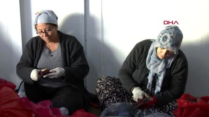 Adana şalgamcı abla ve ekibinden kadın eli değmiş şalgam