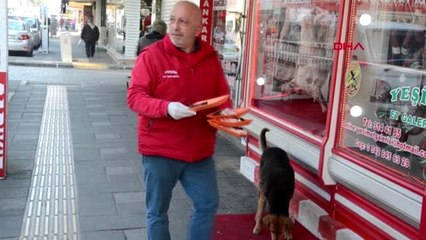 Manisa kedi 'yeşim'den sonra şimdi köpek 'nazike'