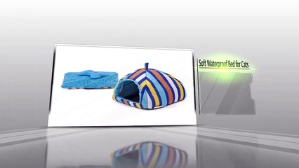 Exactly How To Discover Animal Products