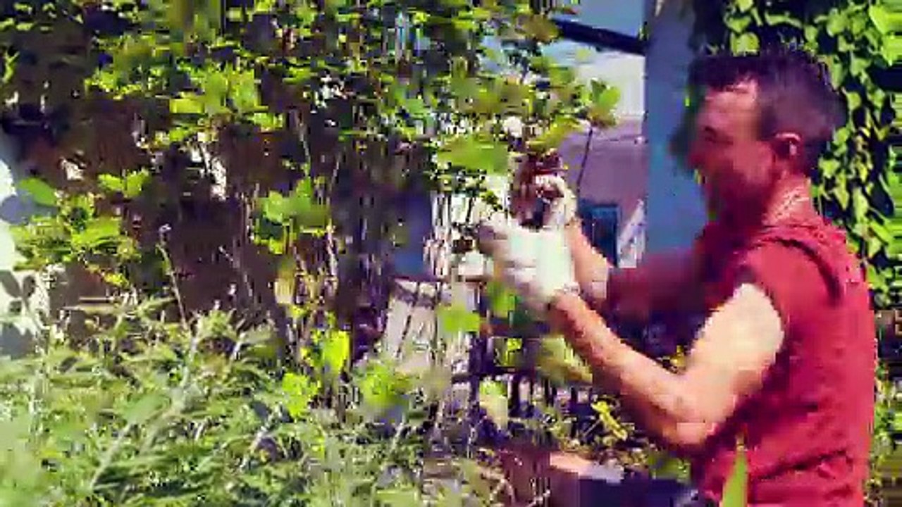 Green Style - Création & entretien d’espaces paysagers