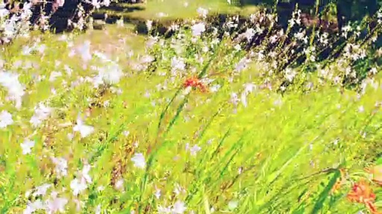 Green Style - Présentation