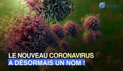Quel est le nouveau nom du coronavirus ?