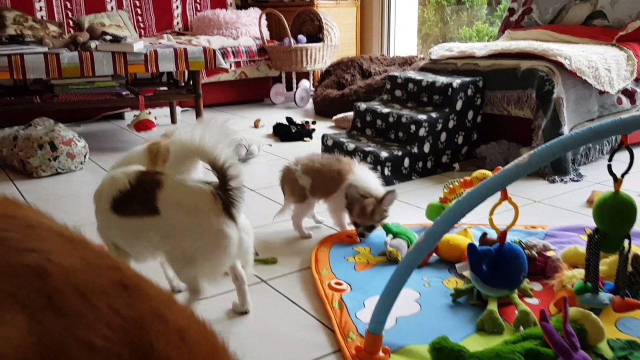 10 février arrivée maison