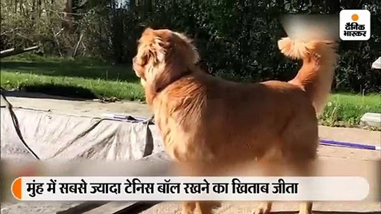 मुंह में छह गेंद रखकर फिन्ले ने बनाया गिनीज रिक...
