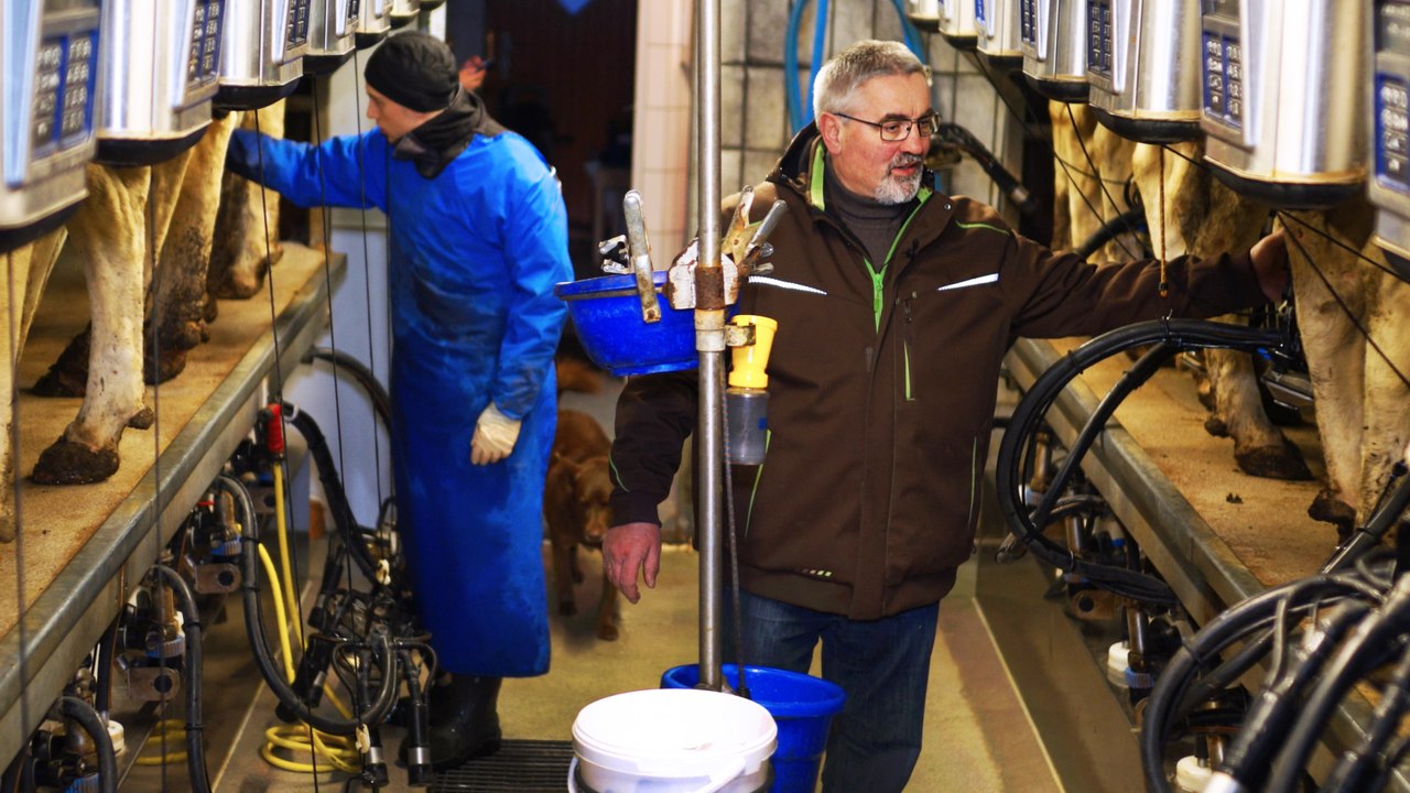 Milchbauer: 'Kleine Betriebe können keine Familie ernähren'