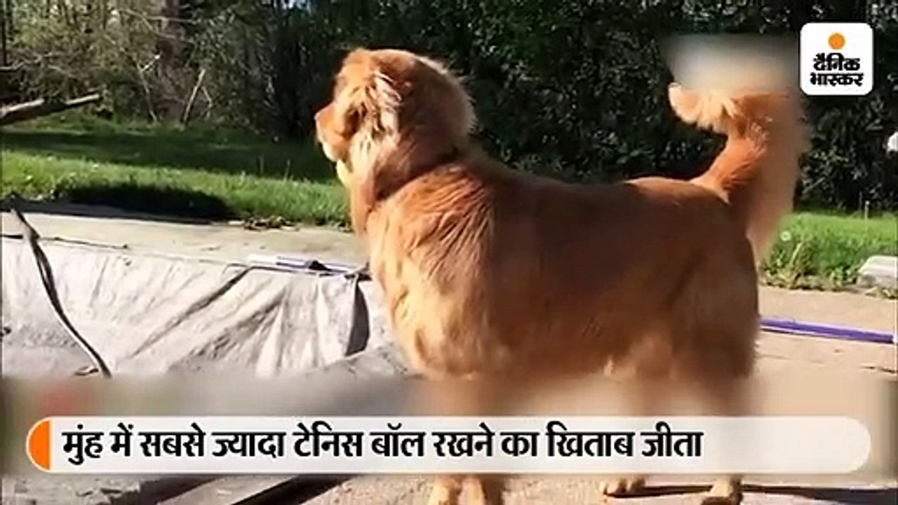 मुंह में छह गेंद रखकर फिन्ले ने बनाया गिनीज रिक...