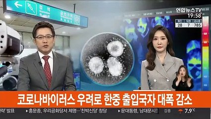 코로나바이러스 우려로 한중 출입국자 대폭 감소