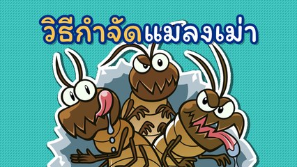 วิธีกำจัดแมลงเม่า ง่าย ๆ ใช้ได้ทั้งในบ้านและคอนโด