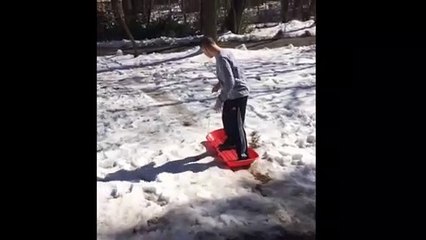 Kid Stands On Sled While Going Down A Hill And Falls