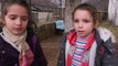 Shkollë pa kushte/ Nxënësit në fushë Bulqizë nuk kanë tualet