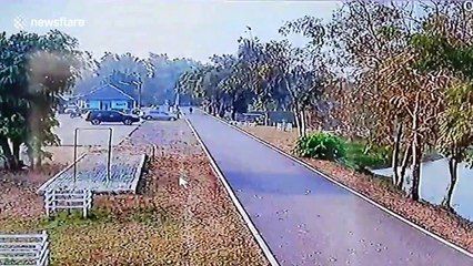 Car rolls into pond after driver leaves without pulling handbrake in Thailand