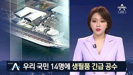 ‘日 크루즈 격리’ 우리 국민 14명에 생필품 긴급 공수