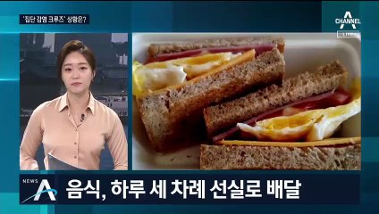 ‘집단 감염 日 크루즈’ 객실은 창문 없는 감옥?