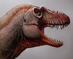 Hallan los restos del 'segador de la muerte', un primo lejano del T-Rex