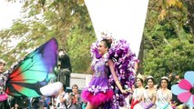 Colourful parade celebrates flower festival in northern Thailand