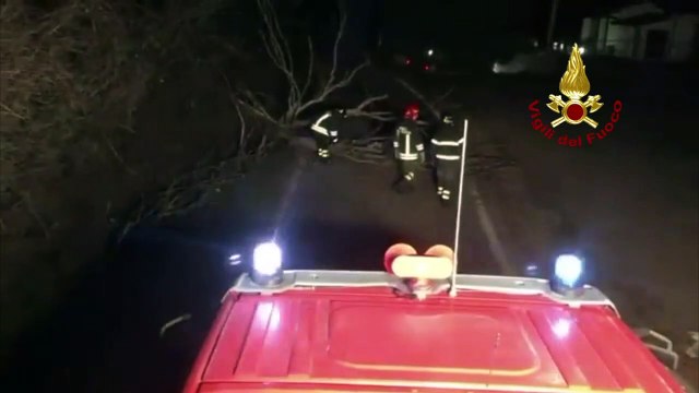 Rimini - Vento forte, alberi abbattuti e tettoie divelte (12.02.20)