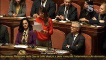 Agnese Gallicchio (M5S) - Intervento Aula Senato (12.02.20)
