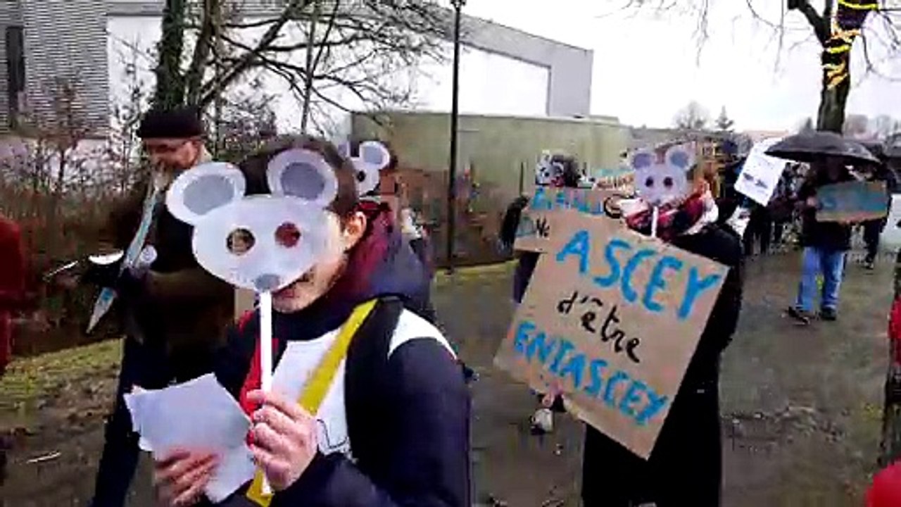 Manifestation des enseignants du collège de Scey-sur-Saône