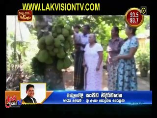 Atapattama 2020.02.12