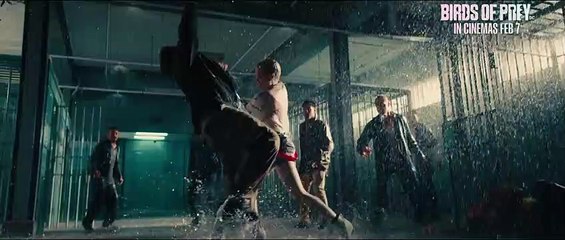 Birds of Prey Trailer