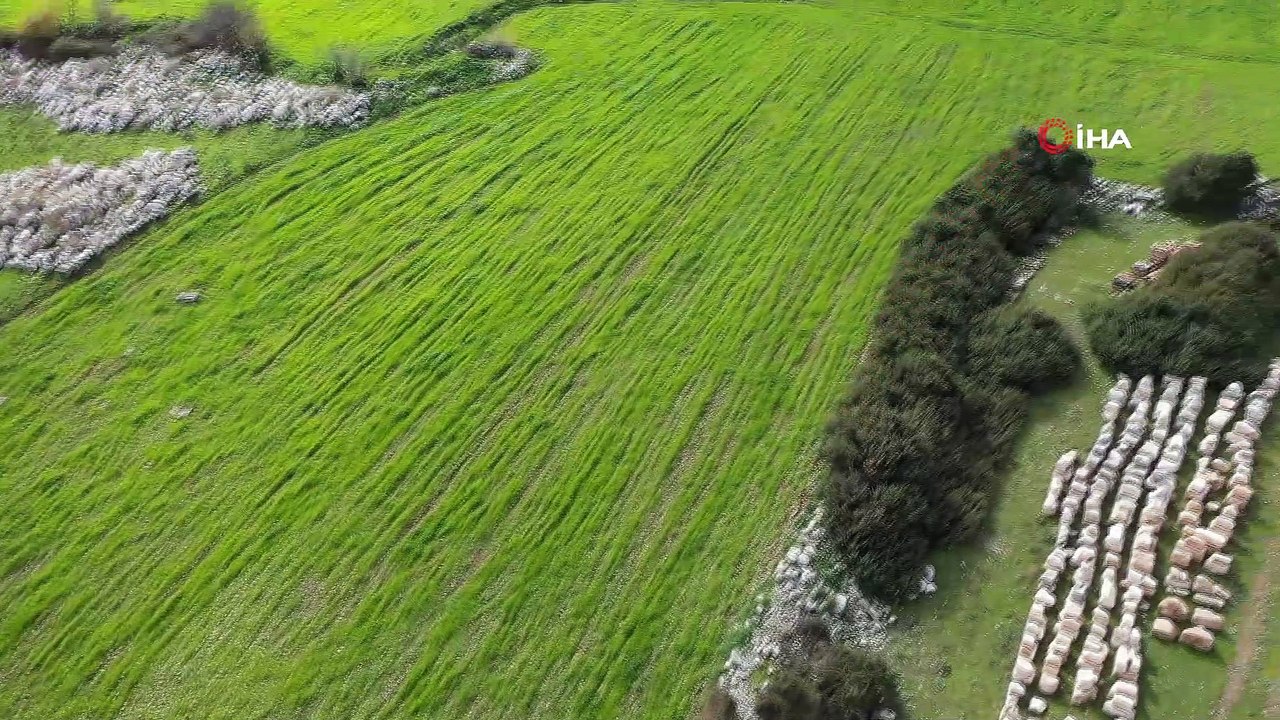 Kaş Belediye Başkanı Ulutaş:'2020 yılının Patara yılı ilan edilmesinden dolayı Kaş'ta bayram yaşıyoruz'