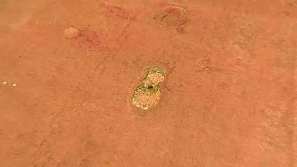 El estadio de La Cartuja sustituirá cinco de los 44 paños de la cubierta textil