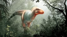 New Species of Tyrannosaur Discovered in Canada May Be One of the Oldest of Its Kind Ever Found in North America